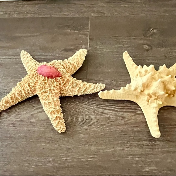Decorative Starfish Set with Pink Accent - Picture 11 of 13